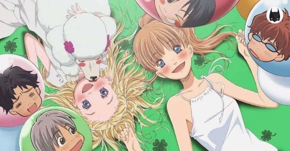 #10 Honey and Clover