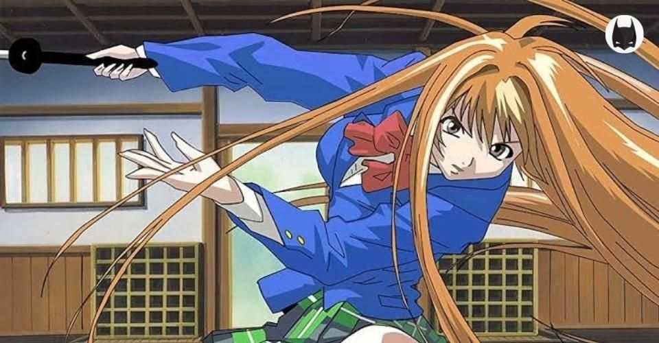 3 Best Fighting And Martial Arts Themed Anime Series