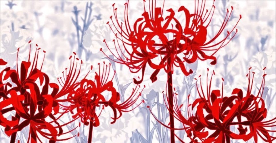 Manjushage Red Spider Lily  Ilustrasi kecantikan Pemandangan Ilustrasi