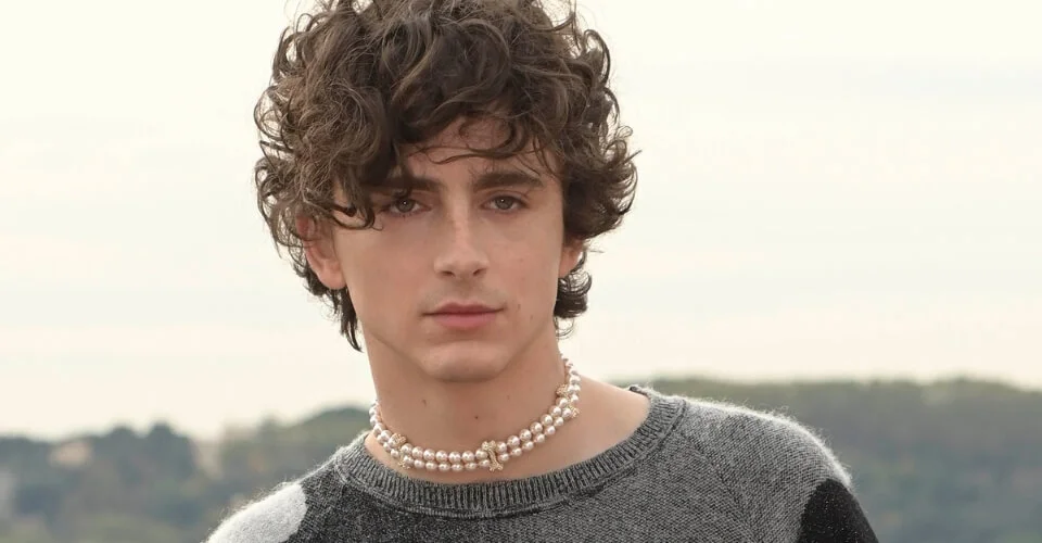 Timothée Chalamet's Dating History?