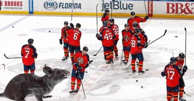 Who Do Fans Throw Rats During a Florida Panthers Game