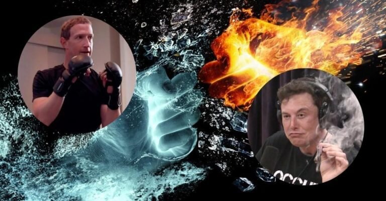 Can Elon Musk Fight Does Mark Zuckerberg Have a Black Belt in Jiu-Jitsu Who Wins In a Fight