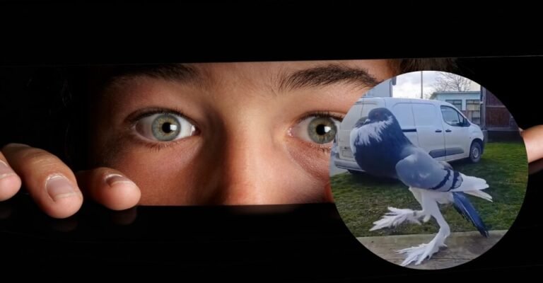 Mutant Pigeon Video with Giant Leg Is Terrorizing People, but Is It Real