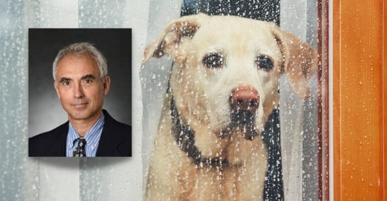 Who Is Themis Matsoukas Penn State Prof Accused of Engaging in Sexual Acts with a Dog