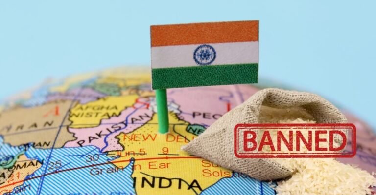 Why India Banned Rice Export (Know the Hidden Reason)