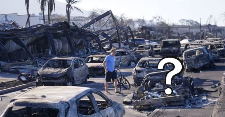 Did the Safeway in Lahaina Burn Down List of Stores Major Places Burned