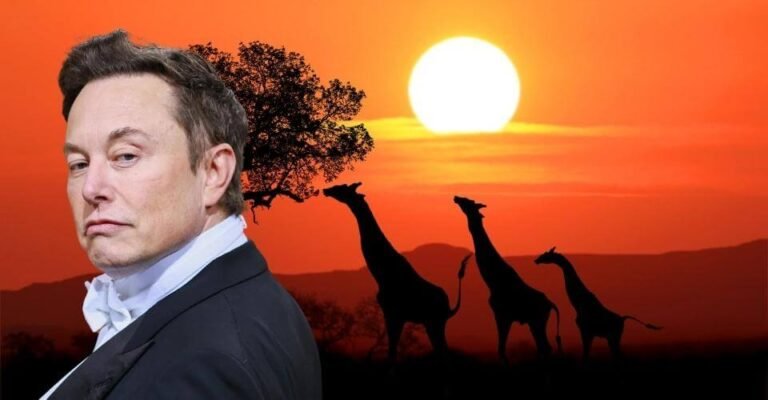 FACT CHECK Is Elon Musk South African