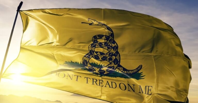 History Explained: What Does the Gadsden Flag Mean?