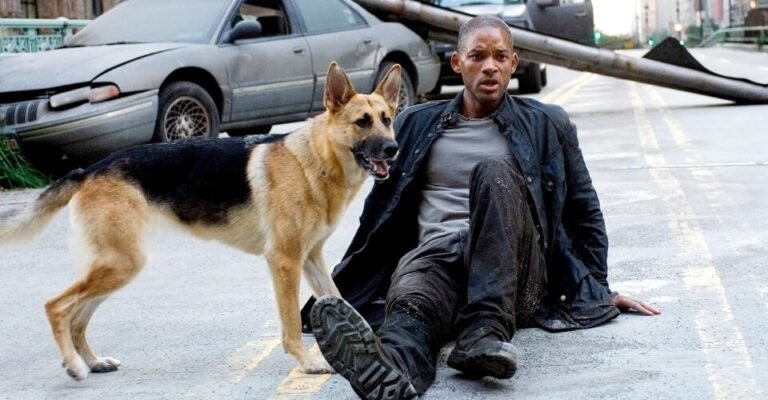 I Am Legend 2: Release Date, Plot, Cast, What to Expect & More