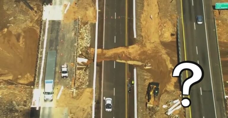 What Happened on the 10 Freeway Today? (Flooding Explained)