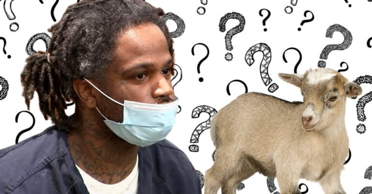 Who Is YSL Member Shannon Stillwell What Does the Internet Think of The Goat Sacrifice