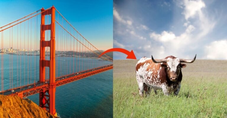 Why Are Californians Moving to Texas