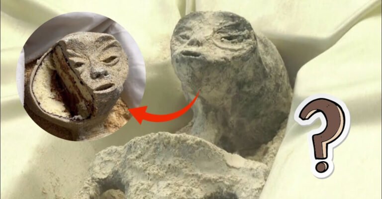 Is the Mexican Alien Really a Cake? Here's What the Internet Thinks