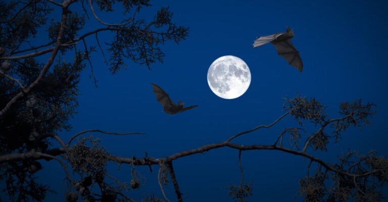 Will There Be a Full Moon on Halloween 2023?