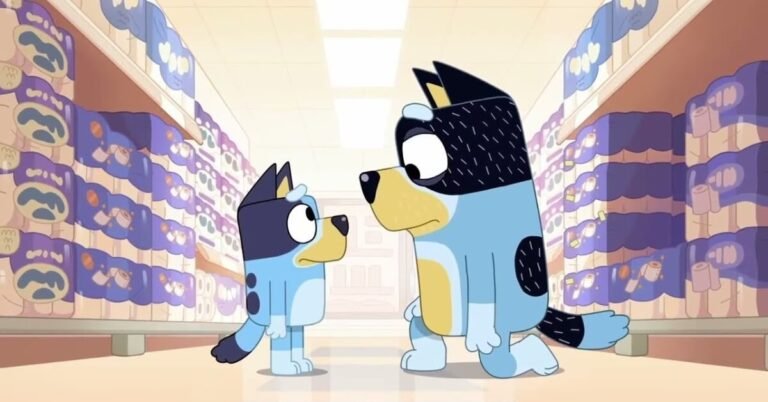 FACT CHECK: Is Bluey a Boy or a Girl?