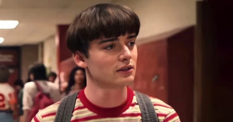 Is Noah Schnapp Jewish? What Is Noah Schnapp's Zionism Video?