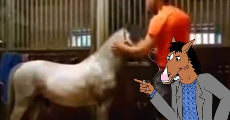 Is the Michael Hanley Horse Video Real? Why Is Mr Hands Trending?