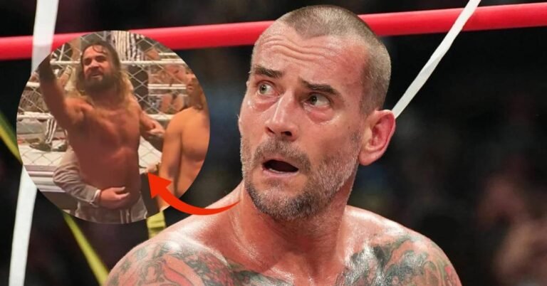 Why Does Seth Rollins Hate CM Punk?
