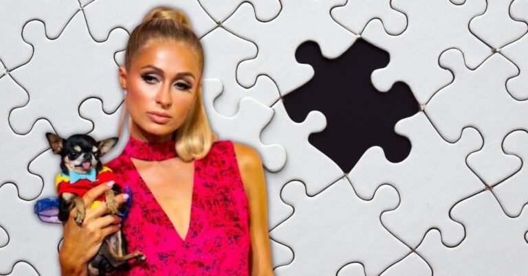 Did Paris Find Diamond Baby? How Did Paris Hilton Lose Her Dog?