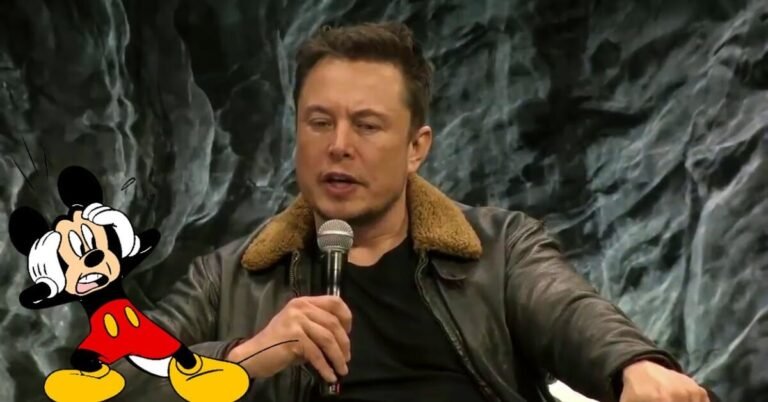 Why Is Disney Losing Subscribers? Why Are People Boycotting Disney? Elon Musk X Disney Clash Explained