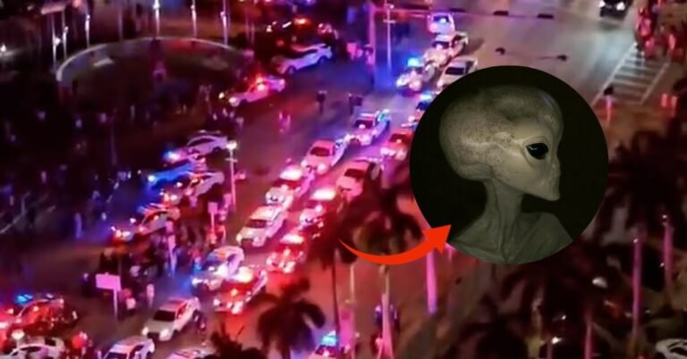 Was There A 10-Foot Alien In Miami? What Really Happened At Bayside Mall?