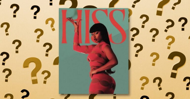 What Is Megan's Law? Megan Thee Stallion's Hiss Lyrics Controversy Explained