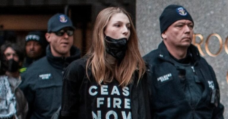 Why Was Hunter Schafer Arrested?
